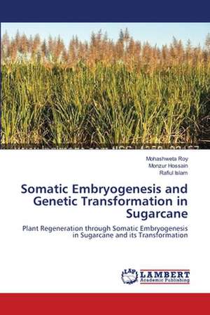 Somatic Embryogenesis and Genetic Transformation in Sugarcane de Mohashweta Roy