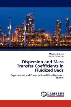 Dispersion and Mass Transfer Coefficients in Fluidized Beds de Kashyap Mayank