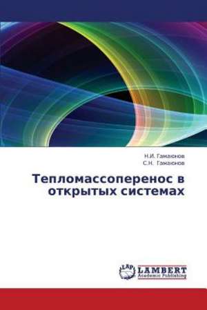 Teplomassoperenos v otkrytykh sistemakh de Gamayunov N.I.