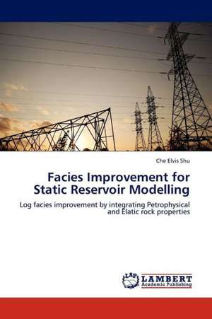 Facies Improvement for Static Reservoir Modelling de Elvis Shu Che