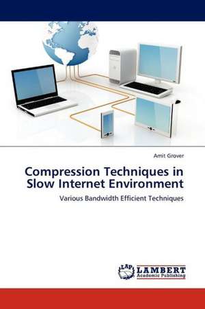 Compression Techniques in Slow Internet Environment de Grover Amit