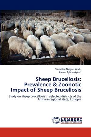 Sheep Brucellosis: Prevalence & Zoonotic Impact of Sheep Brucellosis de Addis Shimeles Abegaz