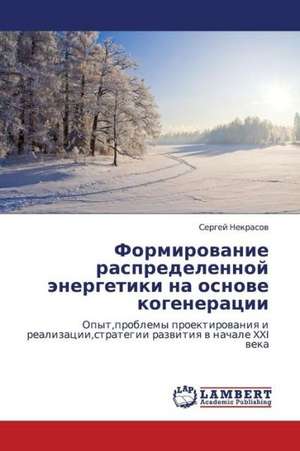 Formirovanie raspredelennoy energetiki na osnove kogeneratsii de Nekrasov Sergey