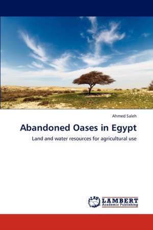 Abandoned Oases in Egypt de Saleh Ahmed