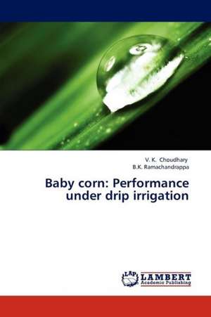 Baby corn: Performance under drip irrigation de Choudhary V. K.