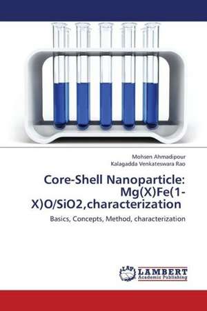 Core-Shell Nanoparticle: Mg(X)Fe(1-X)O/SiO2,characterization de Ahmadipour Mohsen