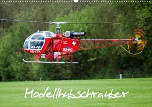 Modellhubschrauber (Posterbuch DIN A3 quer) de Bernd Selig