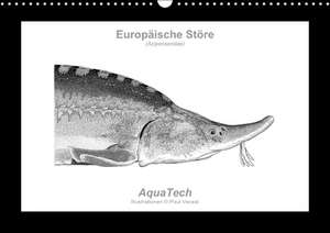 Europäische Störe (Acipenseridae): Fisch als Kunst (Wandkalender immerwährend DIN A3 quer) de Paul Vecsei