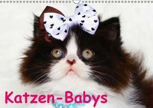 Katzen-Babys (Wandkalender immerwährend DIN A3 quer) de Elisabeth Stanzer