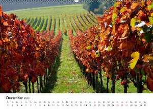 Württemberger Wein 2015 (Wandkalender 2015 DIN A2 quer) de Erich Geduldig