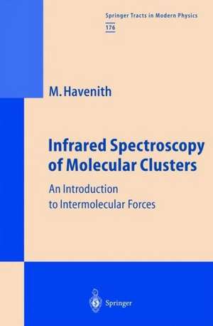 Infrared Spectroscopy of Molecular Clusters: An Introduction to Intermolecular Forces de Martina H. Havenith