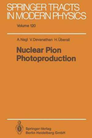 Nuclear Pion Photoproduction de Anton Nagl