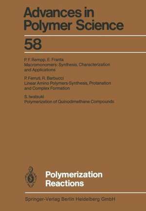 Polymerization Reactions de R. Barbucci