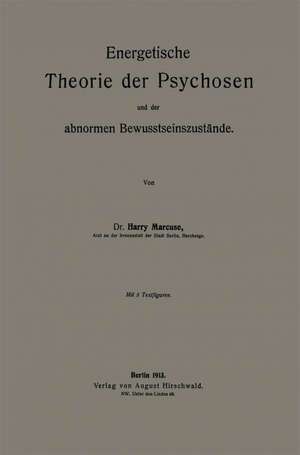 Energetische Theorie der Psychosen und der abnormen Bewusstseinszustände de Harry Marcuse