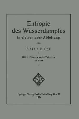 Entropie des Wasserdampfes in elementarer Ableitung de Fritz Bürk