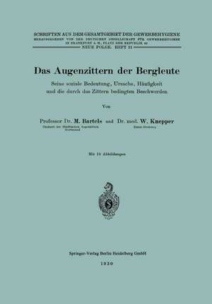 Das Augenzittern der Bergleute: Seine soziale Bedeutung, Ursache, Häufigkeit und die durch das Zittern bedingten Beschwerden de Martin Bartels