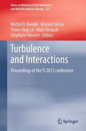 Turbulence and Interactions: Proceedings of the TI 2012 conference de Michel O. Deville