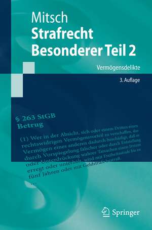 Strafrecht, Besonderer Teil 2: Vermögensdelikte de Wolfgang Mitsch