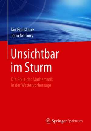 Unsichtbar im Sturm: Die Rolle der Mathematik in der Wettervorhersage de Ian Roulstone