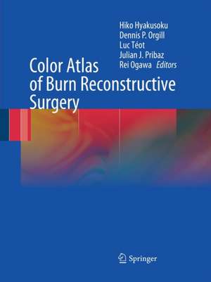 Color Atlas of Burn Reconstructive Surgery de Hiko Hyakusoku