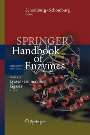 Class 4-6 Lyases, Isomerases, Ligases: EC 4-6 de Antje Chang