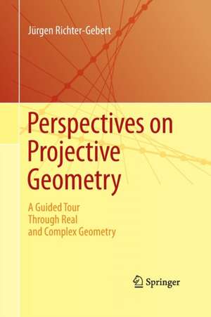 Perspectives on Projective Geometry de Jürgen Richter-Gebert