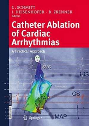 Catheter Ablation of Cardiac Arrhythmias: A Practical Approach de C. Schmitt