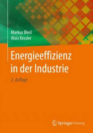 Energieeffizienz in der Industrie de Markus Blesl