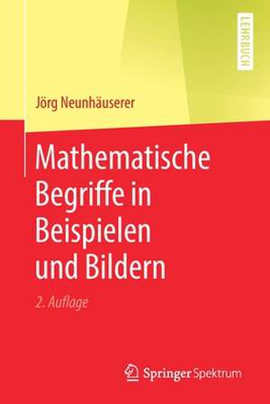 Mathematische Begriffe in Beispielen und Bildern de Jörg Neunhäuserer