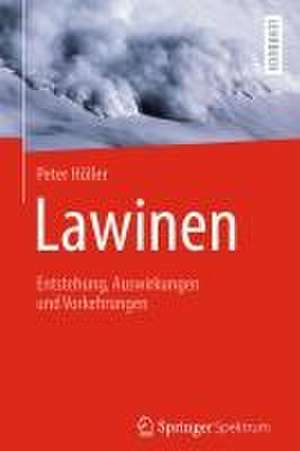 Lawinen: Entstehung, Auswirkungen und Vorkehrungen de Peter Höller