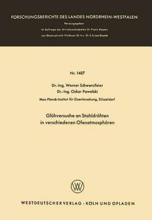 Glühversuche an Stahldrähten in verschiedenen Ofenatmosphären de Werner Schwenzfeier