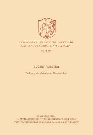 Probleme des elektrischen Durchschlags de Eugen Flegler