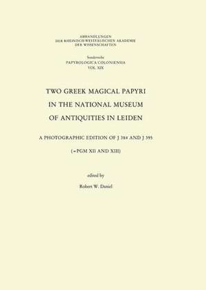 Two Greek Magical Papyri in the National Museum of Antiquities in Leiden: A Photographic Edition of J 384 and 395 (=PGM XII and XIII) de Robert W Daniel Robert W Daniel