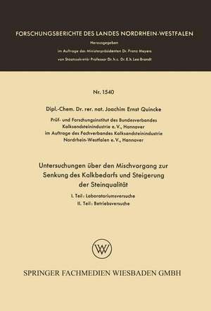 Untersuchungen über den Mischvorgang zur Senkung des Kalkbedarfs und Steigerung der Steinqualität de Joachim Ernst Quincke