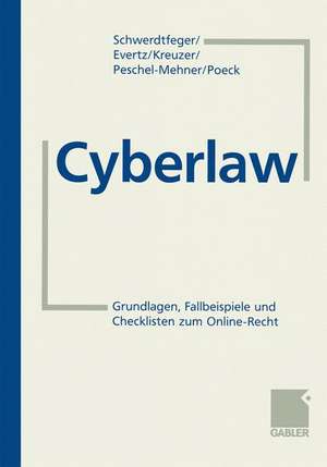 Cyberlaw: Grundlagen, Checklisten und Fallbeispiele zum Online-Recht de Armin Schwerdtfeger