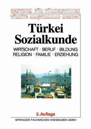 Türkei-Sozialkunde: Wirtschaft, Beruf, Bildung, Religion, Familie, Erziehung de Zentrum für Türkeistudien