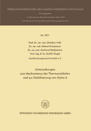 Untersuchungen zum Mechanismus der Thermooxidation und zur Stabilisierung von Nylon 6 de Giselher Valk