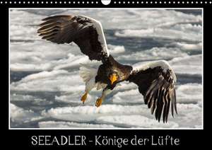 Seeadler - Könige der Lüfte (Wandkalender 2016 DIN A3 quer) de Thomas Schwarz Fotografie