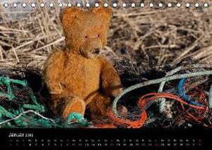 Teddy Basse (Tischkalender 2016 DIN A5 quer) de Dirk Rosin