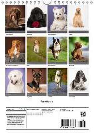 Rassehunde (Wandkalender 2016 DIN A4 hoch) de Nicole Noack