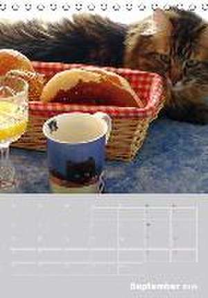 Katzenalltag / Geburtstagskalender (Tischkalender 2016 DIN A5 hoch) de Karin Eickenberg