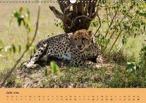 Wildnis Kenia 2016 (Wandkalender 2016 DIN A3 quer) de Rainer Schwarz