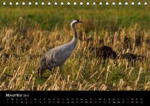 Natur im Landkreis Osterholz (Tischkalender 2016 DIN A5 quer) de Michael Hömske