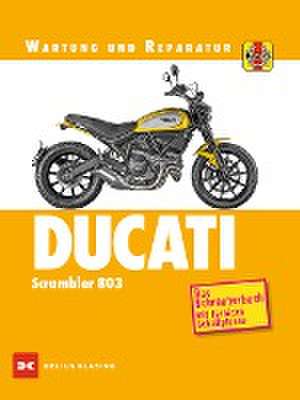 Ducati Scrambler 803 de Matthew Coombs