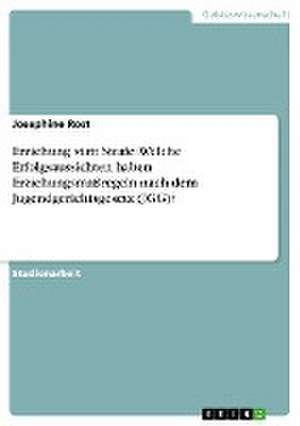 Erziehung statt Strafe. Welche Erfolgsaussichten haben Erziehungsmaßregeln nach dem Jugendgerichtsgesetz (JGG)? de Josephine Rost