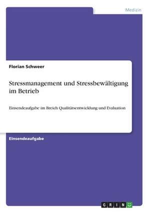 Stressmanagement und Stressbewältigung im Betrieb de Florian Schweer