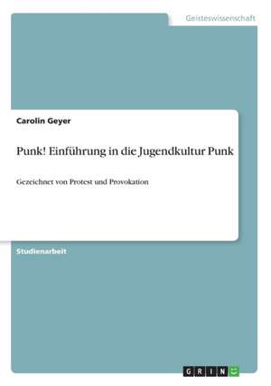 Punk! Einführung in die Jugendkultur Punk de Carolin Geyer