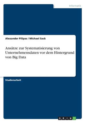 Ansätze zur Systematisierung von Unternehmensdaten vor dem Hintergrund von Big Data de Alexander Pilipas