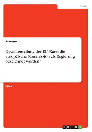 Gewaltenteilung der EU. Kann die europäische Kommission als Regierung bezeichnet werden?