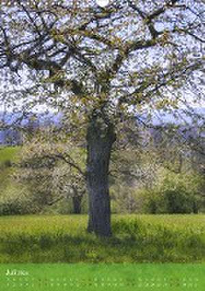 Klimaretter Baum (Wandkalender 2024 DIN A3 hoch), CALVENDO Monatskalender de Christine Wirges